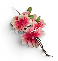Magnolia Blossom Sticks