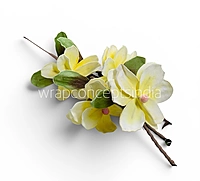 Magnolia Blossom Sticks