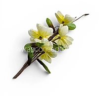 Magnolia Blossom Sticks