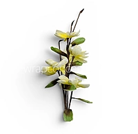 Magnolia Blossom Sticks