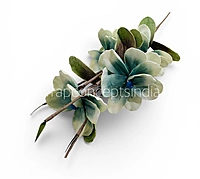 Magnolia Blossom Sticks