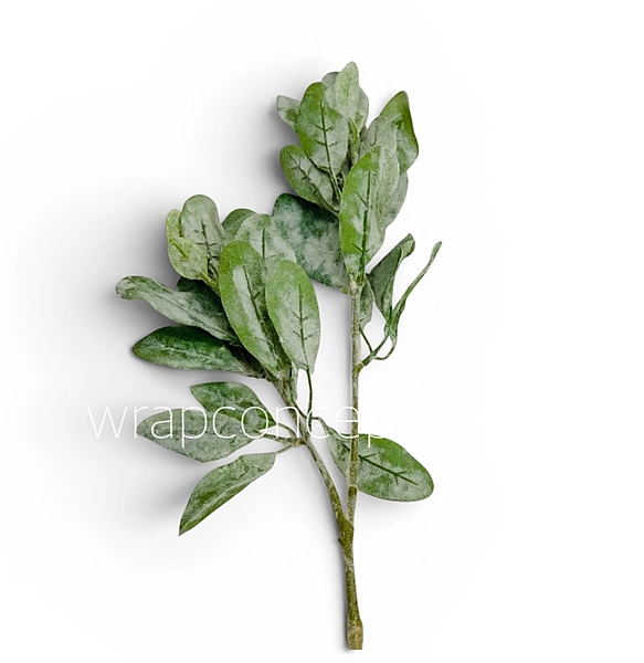 Sage Frost Leaf Spray