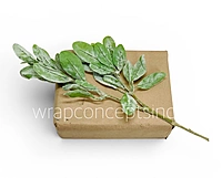 Sage Frost Leaf Spray