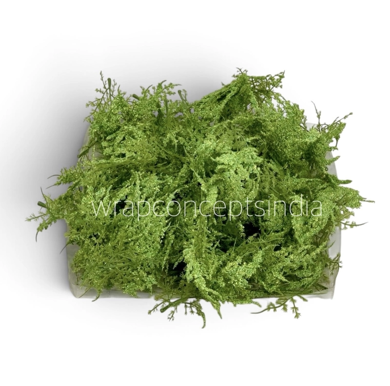 Frosted Moss Fern - Green