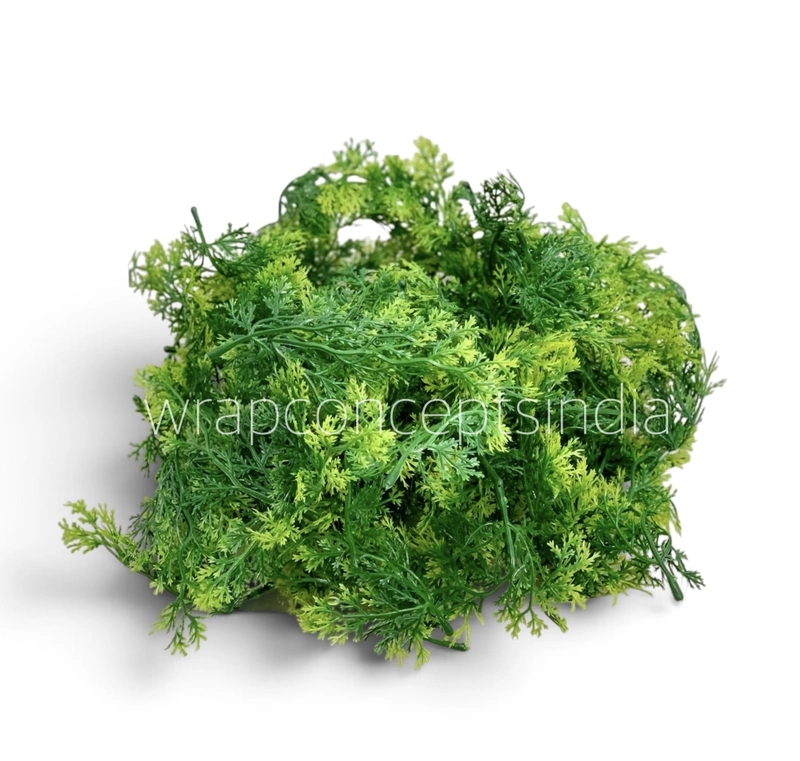 Green Cedar Tree Leaves