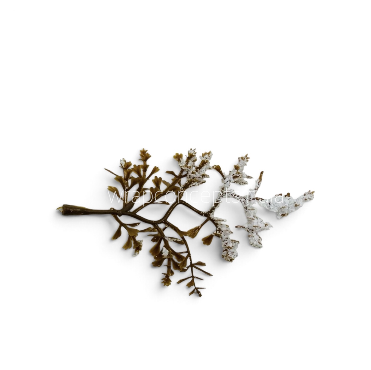 Snowkissed Woodland Branch