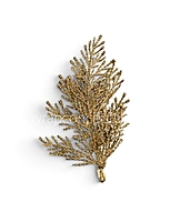 Golden Cypress Sprig