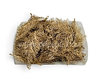 Golden Cypress Sprig