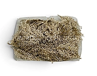 Champagne Candy Grass Leaves