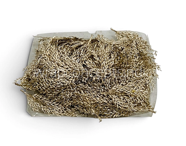 Champagne Candy Grass Leaves