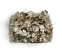 Champagne Ginkgo Leaf - Small