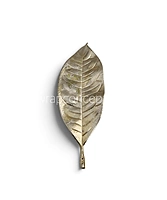 Champagne Vein Leaf