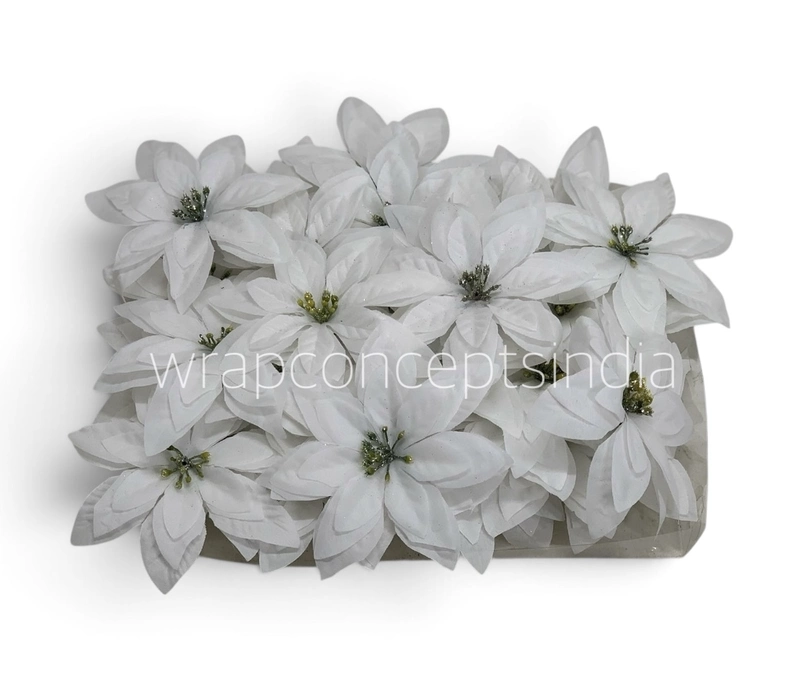Snow Petal Bloom