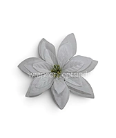 Snow Petal Bloom