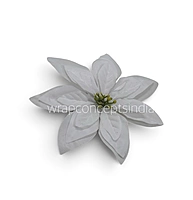 Snow Petal Bloom