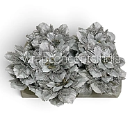 Silver Snowfall Floral
