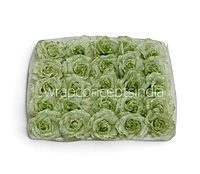 Sage Sparkle Rose