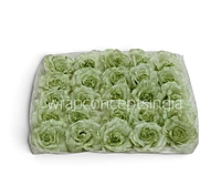 Sage Sparkle Rose