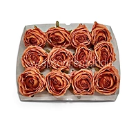 Burnt Peach Rose