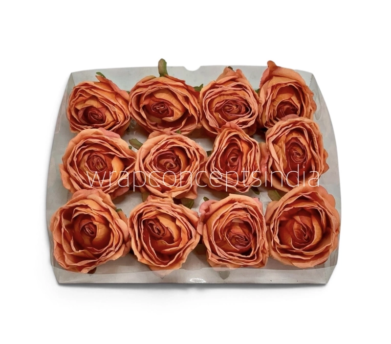 Burnt Peach Rose