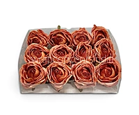 Burnt Peach Rose
