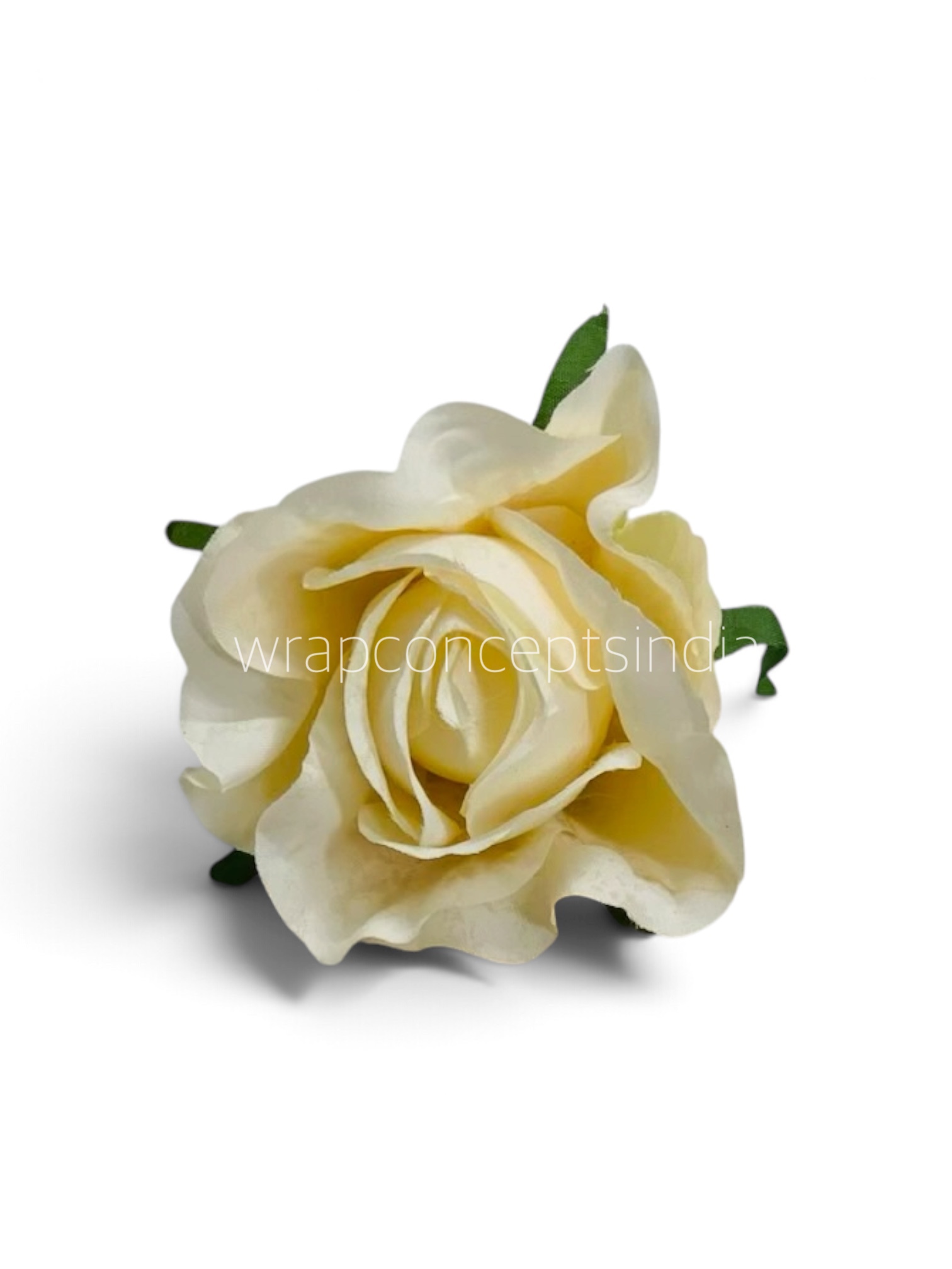Vanilla Glow Rose