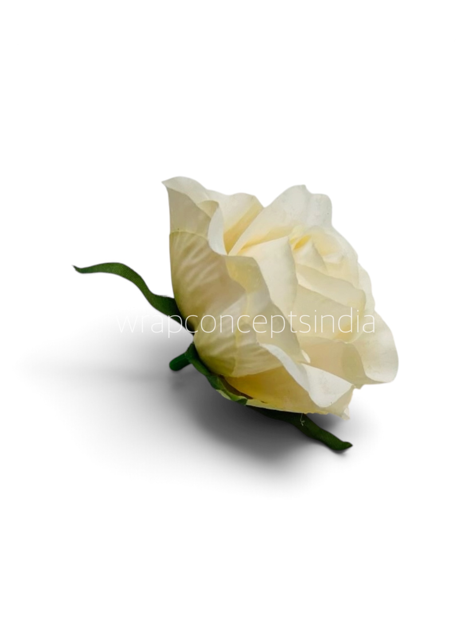 Vanilla Glow Rose