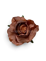 Cinnamon Blush Rose
