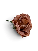 Cinnamon Blush Rose