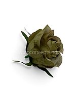 Sage Vintage Rose