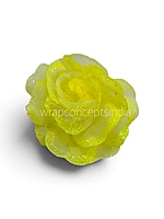 Citrus Sparkle Rose