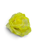 Citrus Sparkle Rose