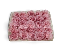 Blush Sparkle Rose
