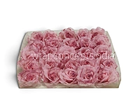 Blush Sparkle Rose