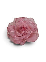 Blush Sparkle Rose