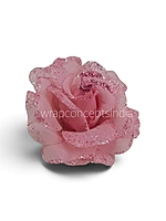 Blush Sparkle Rose