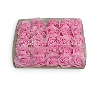 Candy Sparkle Rose