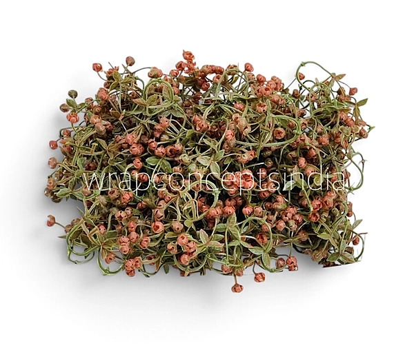 Caramel Baby Breath Florets