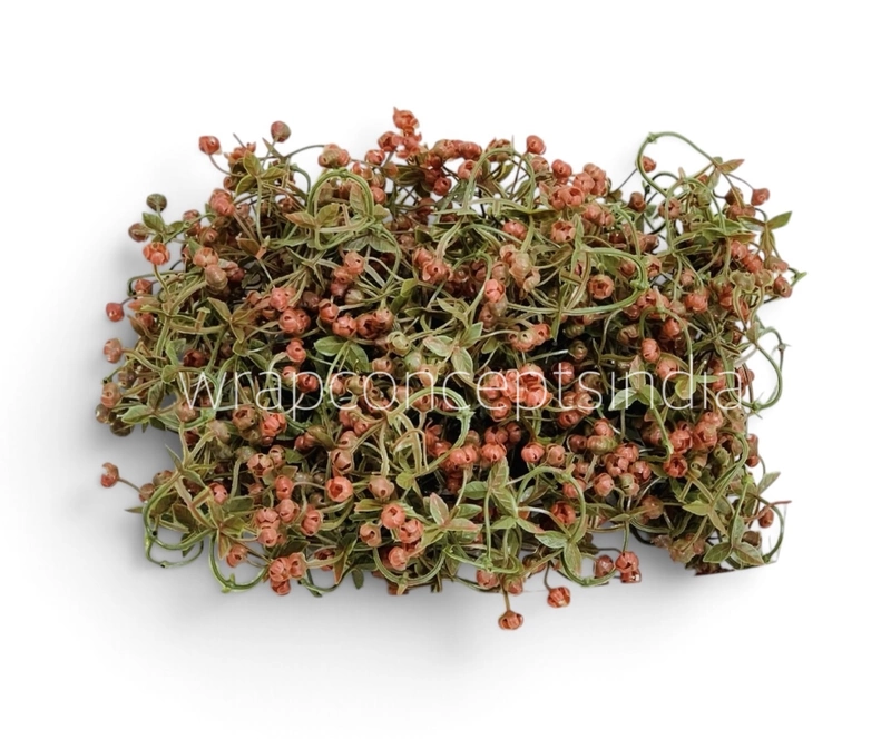 Caramel Baby Breath Florets