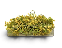 Yellow Baby Breath Florets