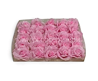 Candy Sparkle Rose