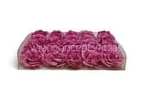Fuchsia Sparkle Rose