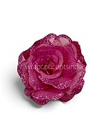 Fuchsia Sparkle Rose