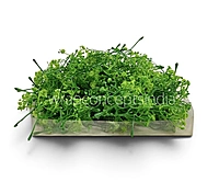 Green Cluster Bud Filler