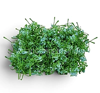 Blue Cluster Bud Filler