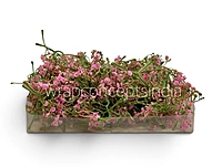 Pink Cluster Bud Filler