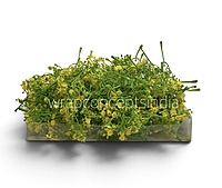 Yellow Cluster Bud Filler