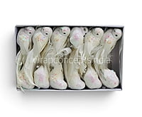 Gilded Frost Bird - Pack of 12