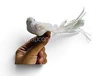 Gilded Frost Bird - Pack of 12