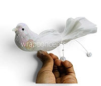 Fairyglow Bird Collection